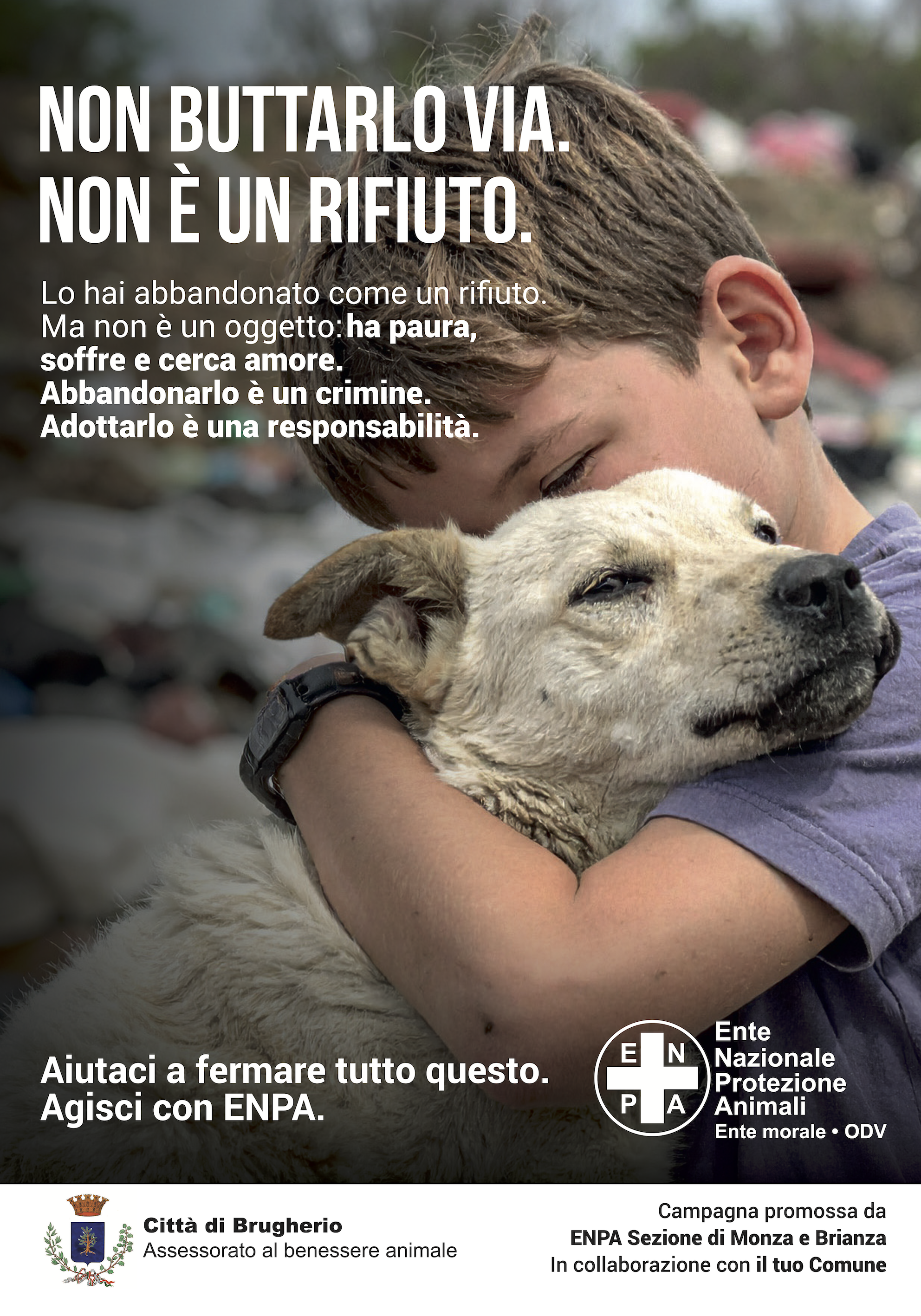 Immagine Città di Brugherio aderisce alla campagna contro l'abbandono degli animali di affezione