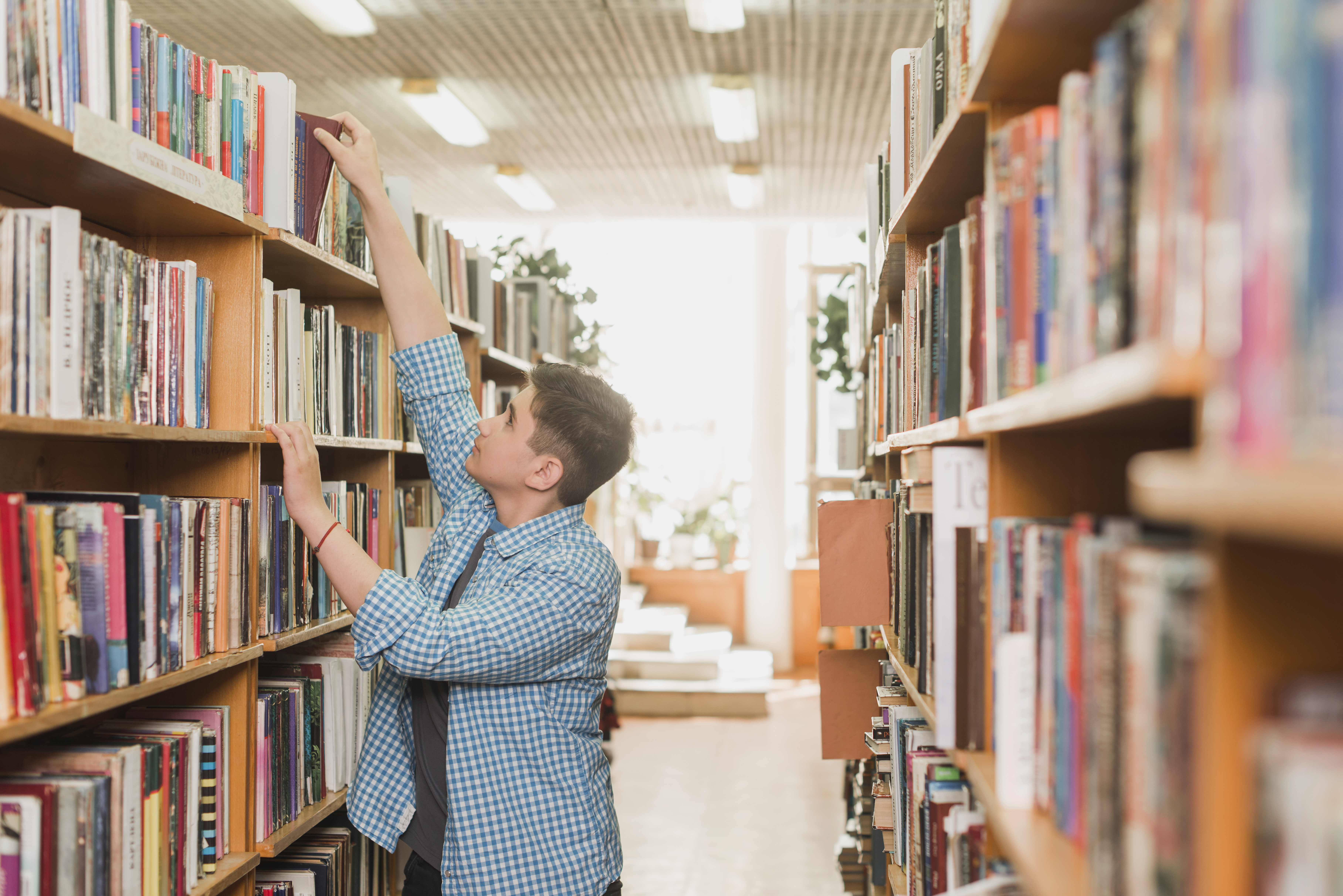 Immagine Bando di Volontariato Civico in Biblioteca