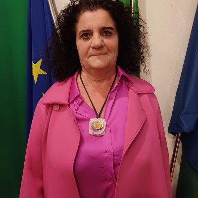 Composizione del Consiglio Comunale